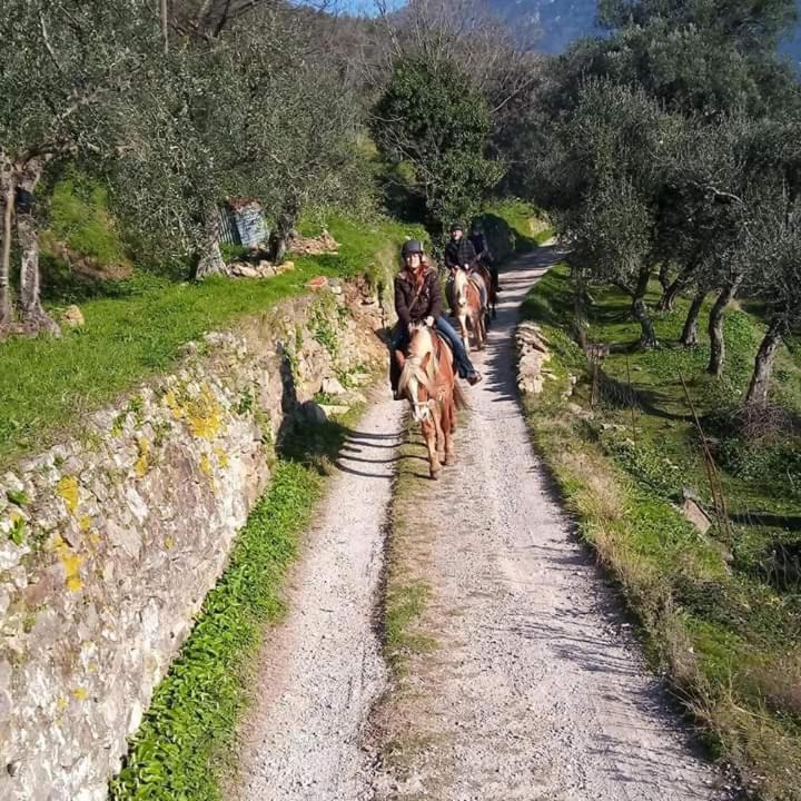 Villamorosa Calci Bagian luar foto